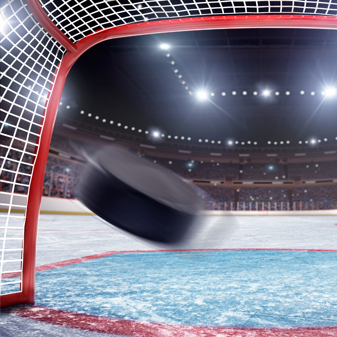 Auf den Spuren der Schweizer NHL Stars